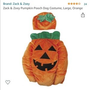 Pumpkin Halloween dog costume